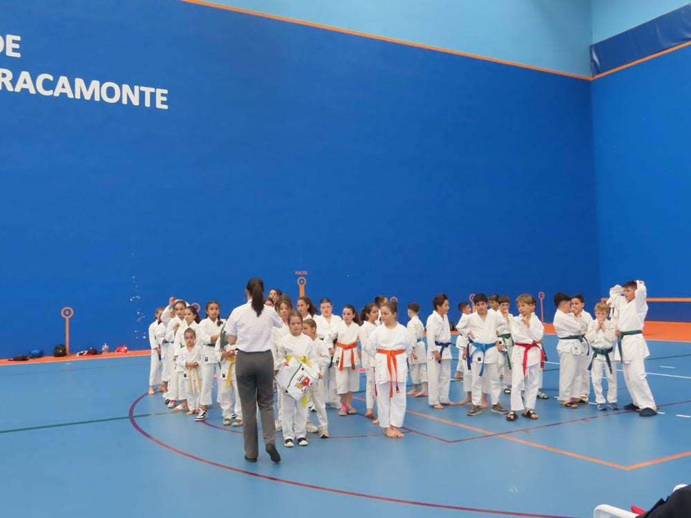 Más de 300 karatecas en Peñaranda