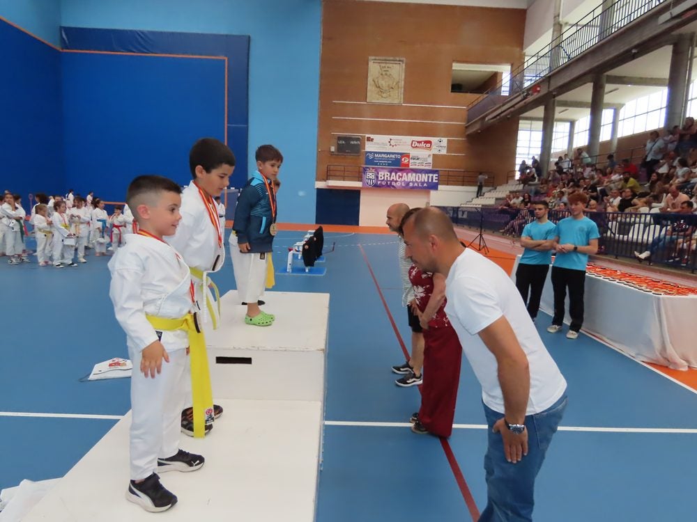 Más de 300 karatecas en Peñaranda
