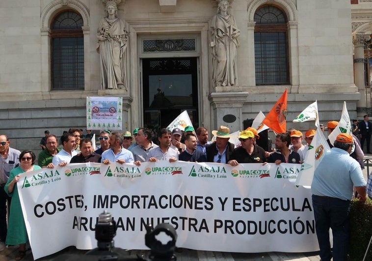 El campo exige a Planas ayudas directas y urgentes para el cereal
