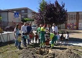 Momento de plantación de uno de los árboles.