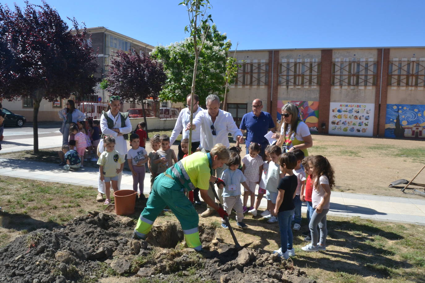 Ciudad Rodrigo celebra una multitudinaria plantación de árboles