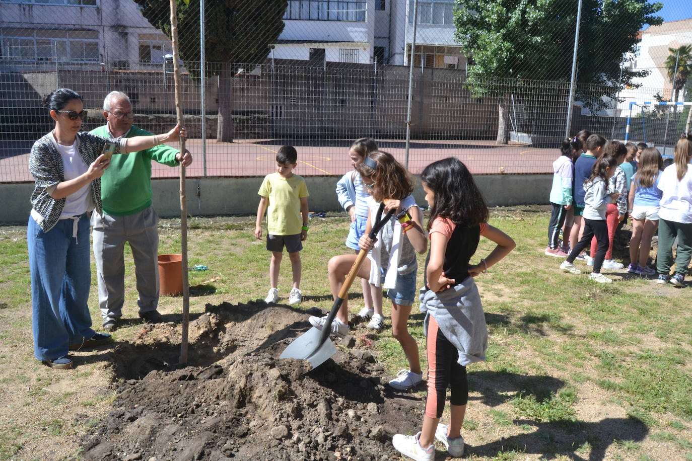 Ciudad Rodrigo celebra una multitudinaria plantación de árboles