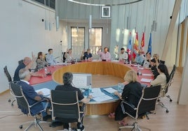 Momento de una de las votaciones del pleno.