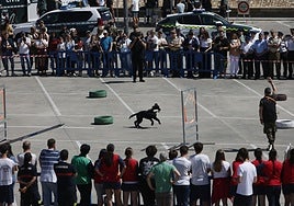 Una de las exhibiciones celebradas en la mañana de este jueves.