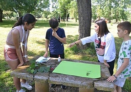 Ciudad Rodrigo cierra sus jornadas sobre el medio ambiente