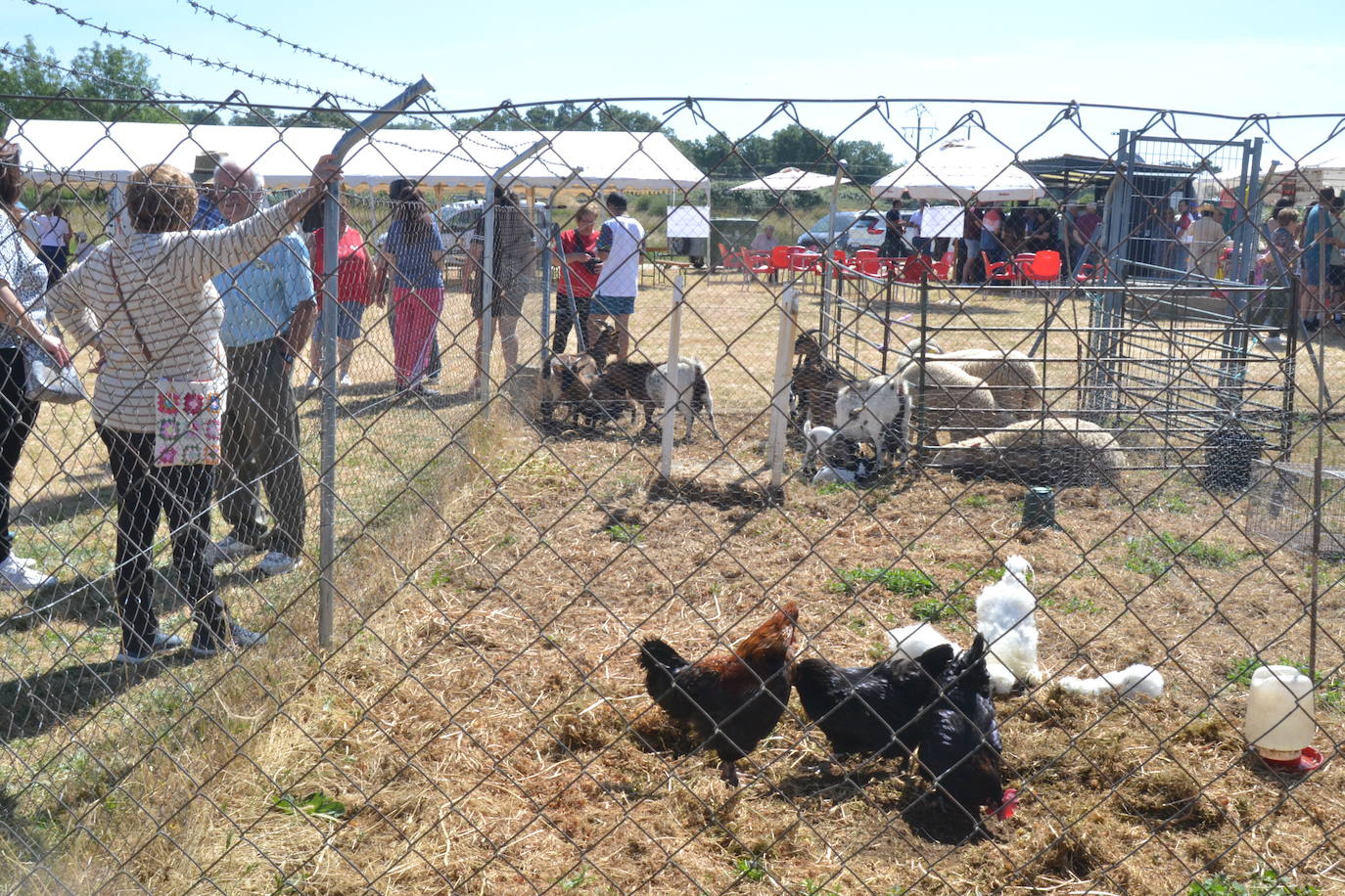 Exitosa jornada ganadera en Bañobárez
