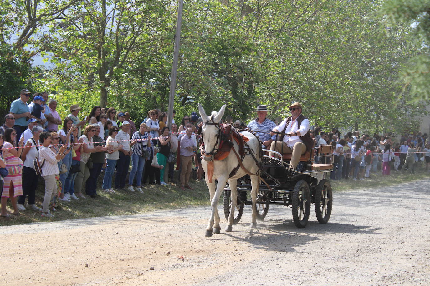 Una patrona que une las provincias de Cáceres y Salamanca