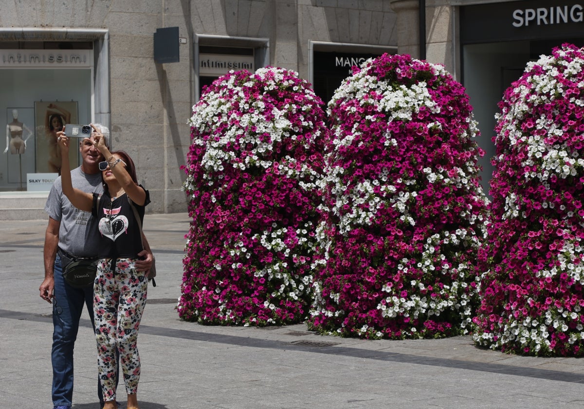 Imagen principal - Estos son los 'photocalls' que no debes perderte en Salamanca