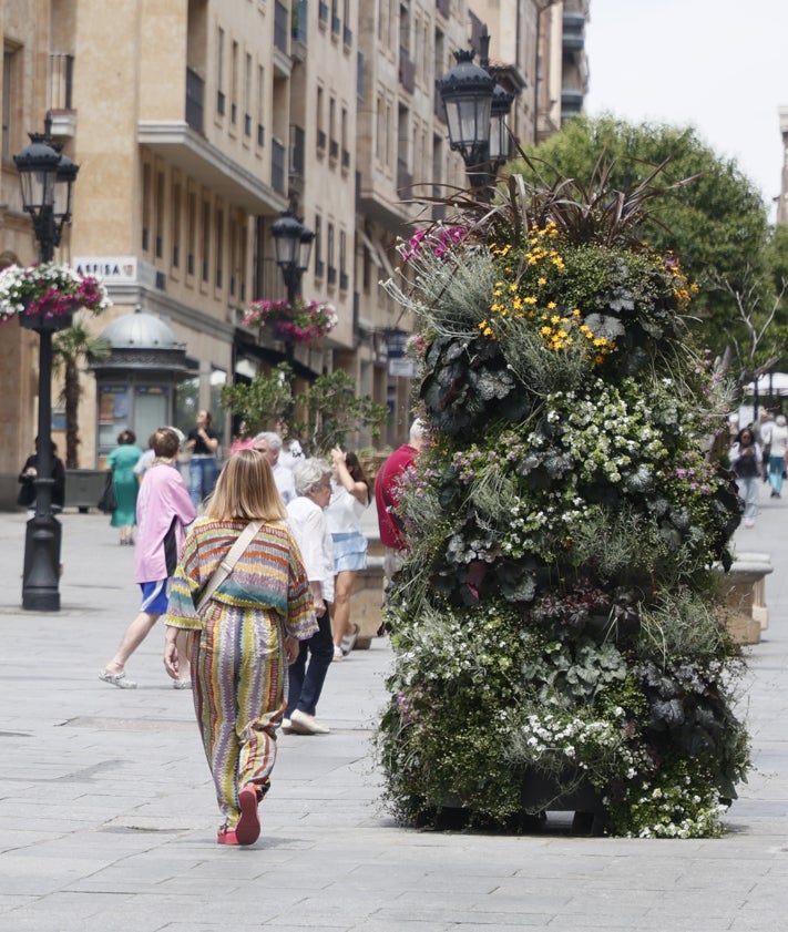Imagen secundaria 2 - Estos son los 'photocalls' que no debes perderte en Salamanca