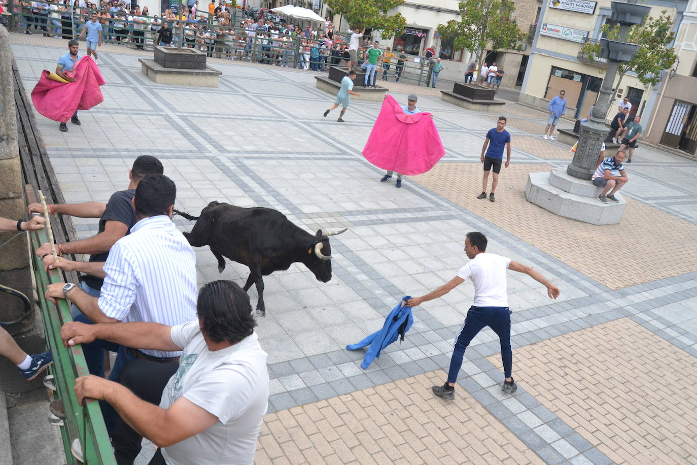 ‘Músico’ saca brillo al IX Toro de Cajón de Vitigudino