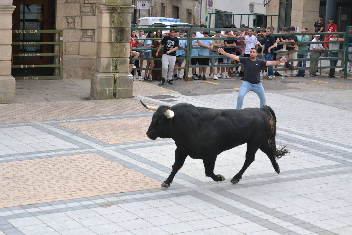 ‘Músico’ saca brillo al IX Toro de Cajón de Vitigudino