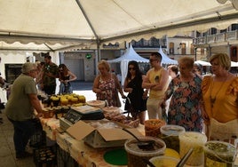 Feria de San Antonio en Alba de Tormes.