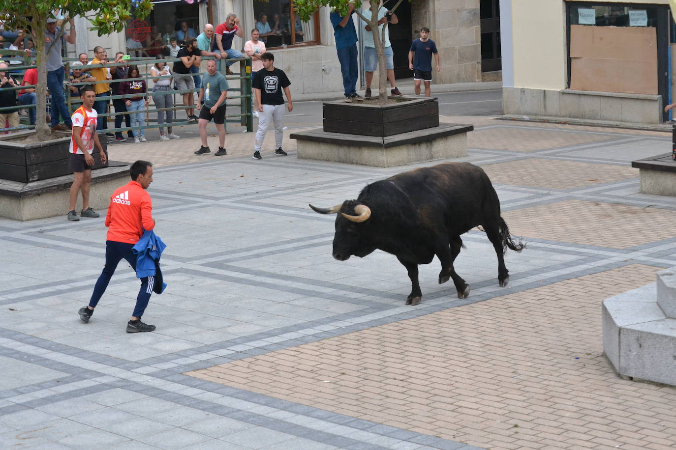 ‘Músico’ saca brillo al IX Toro de Cajón de Vitigudino