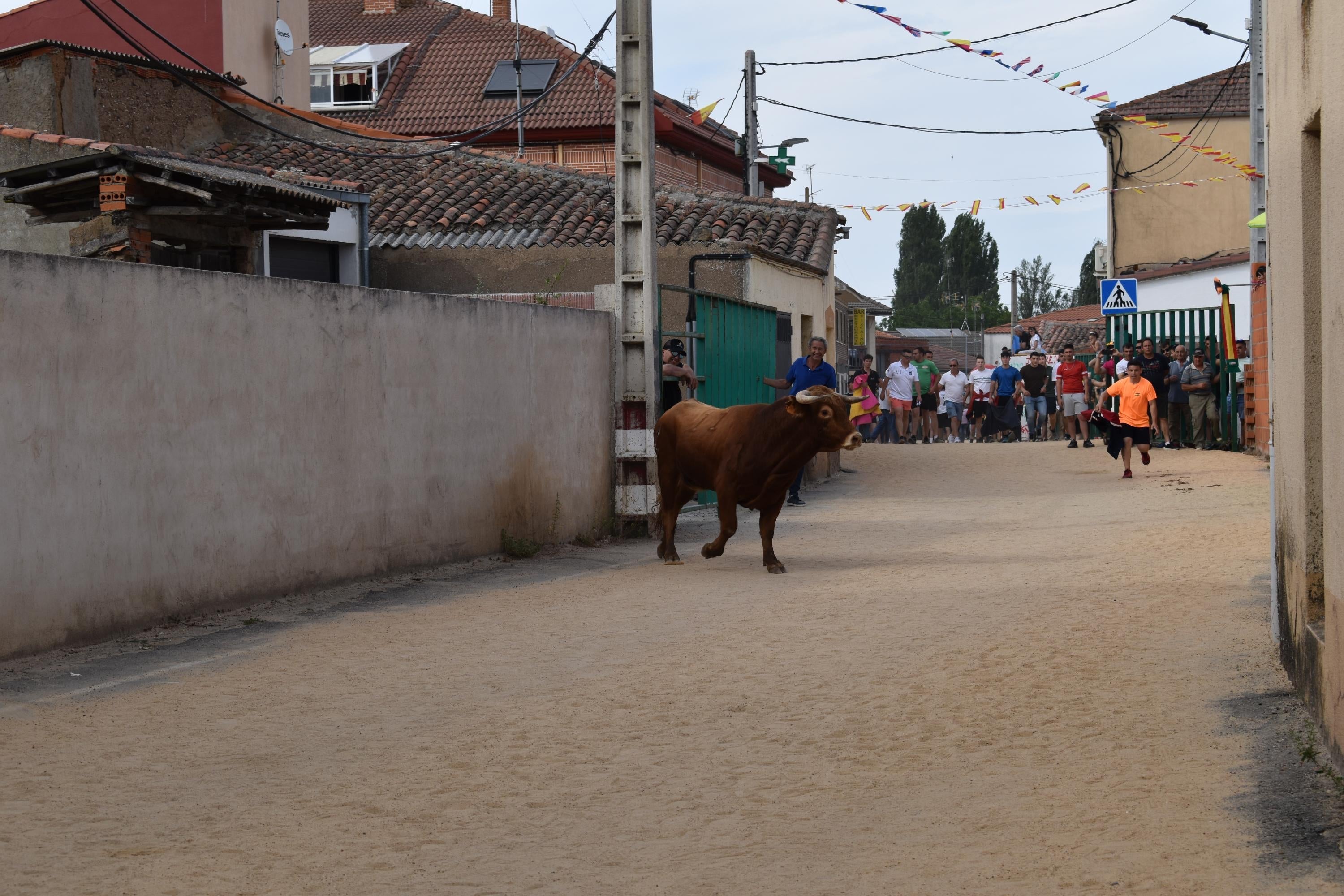 Pasión taurina en Topas antes de cerrar las fiestas en honor a San Antonio