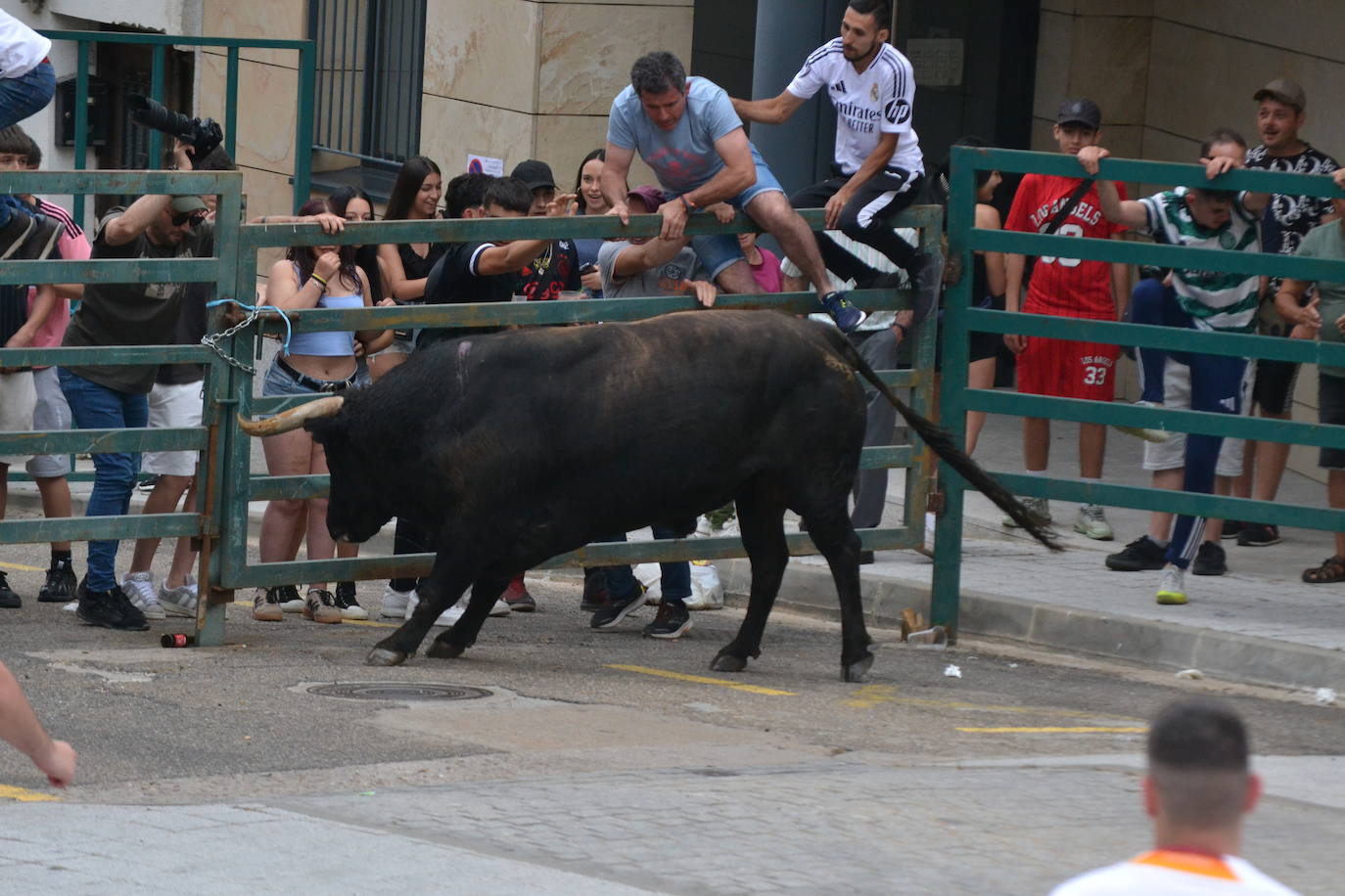 ‘Músico’ saca brillo al IX Toro de Cajón de Vitigudino