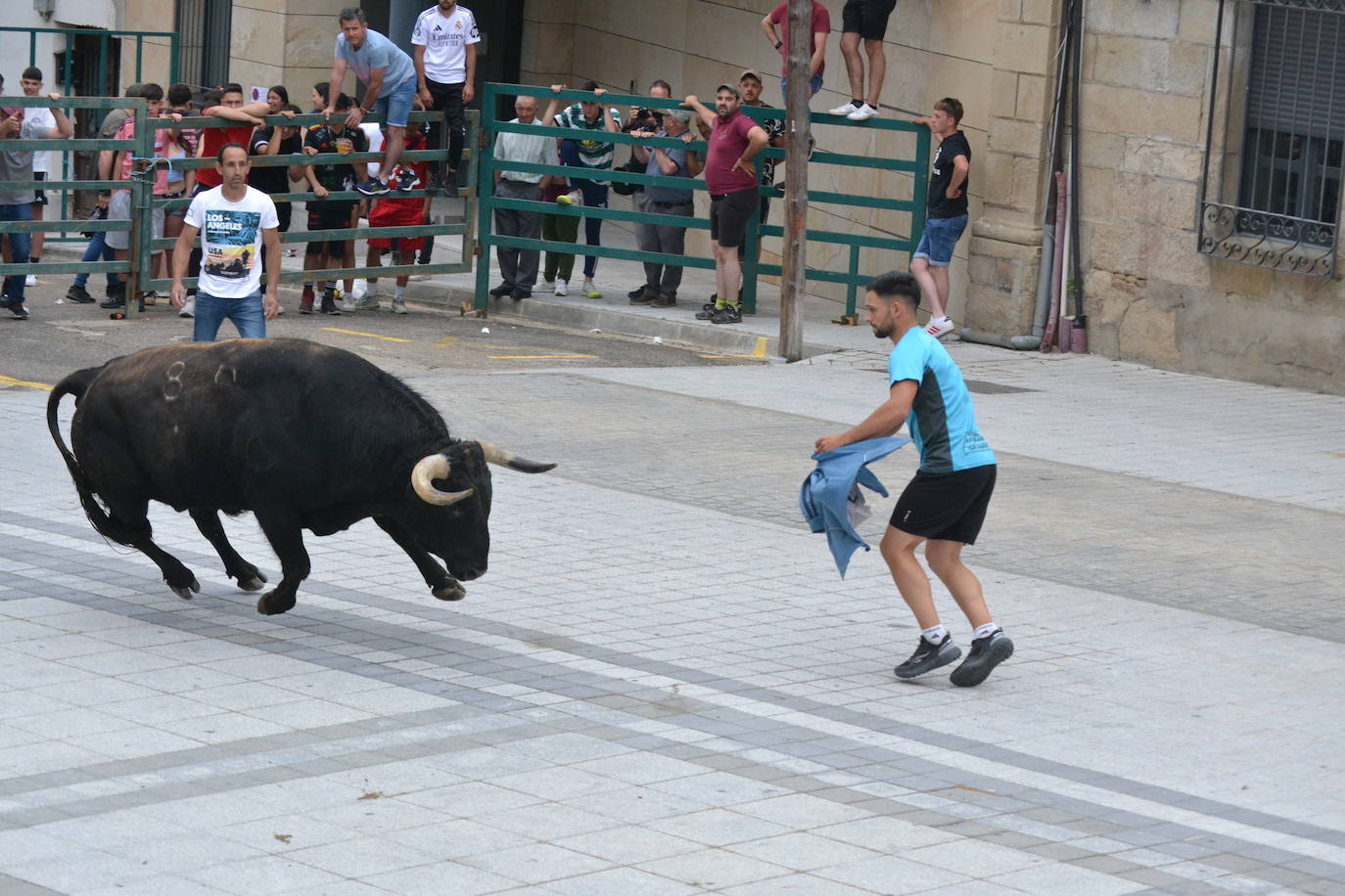 ‘Músico’ saca brillo al IX Toro de Cajón de Vitigudino