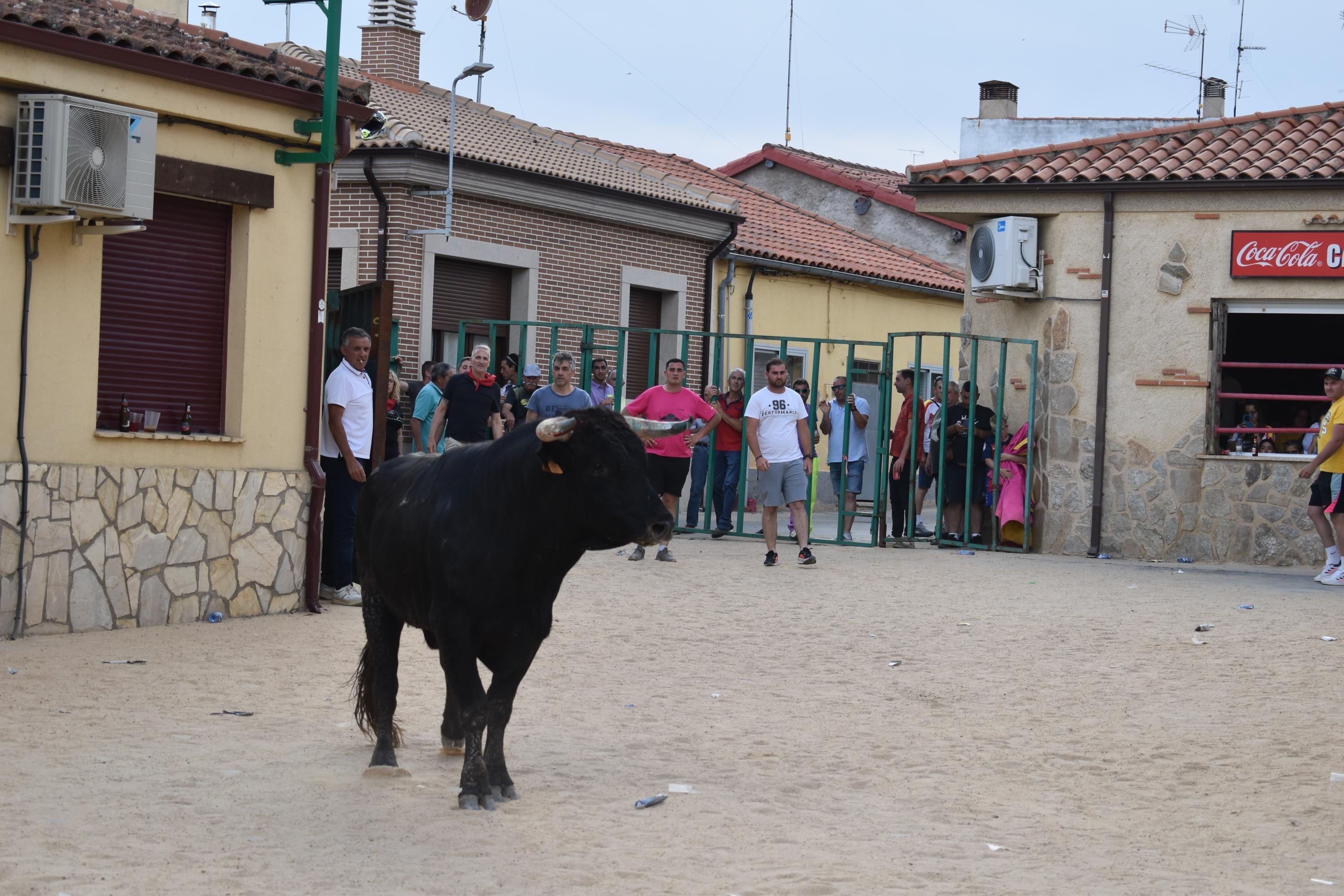 Pasión taurina en Topas antes de cerrar las fiestas en honor a San Antonio