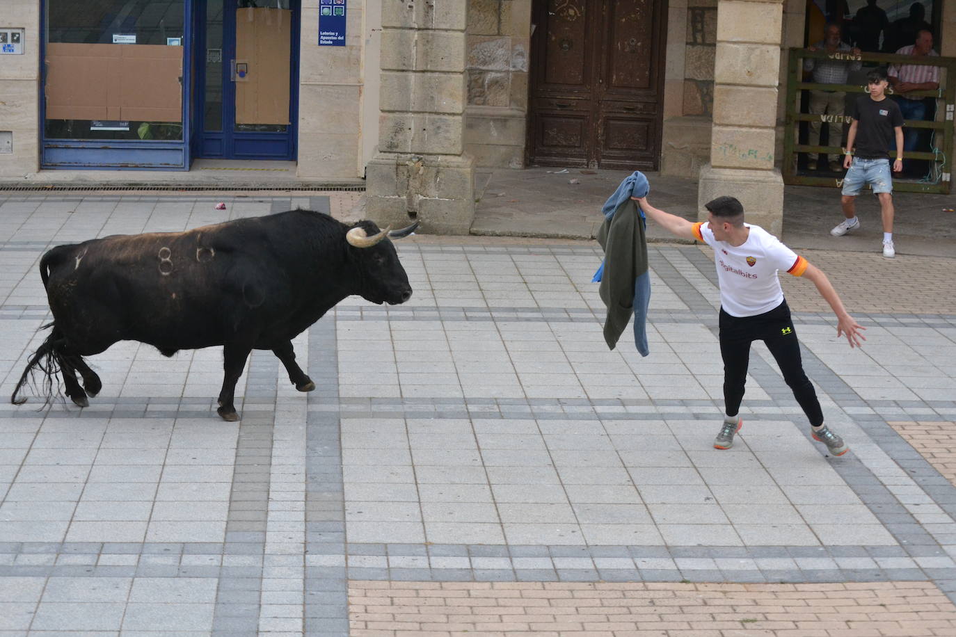 ‘Músico’ saca brillo al IX Toro de Cajón de Vitigudino