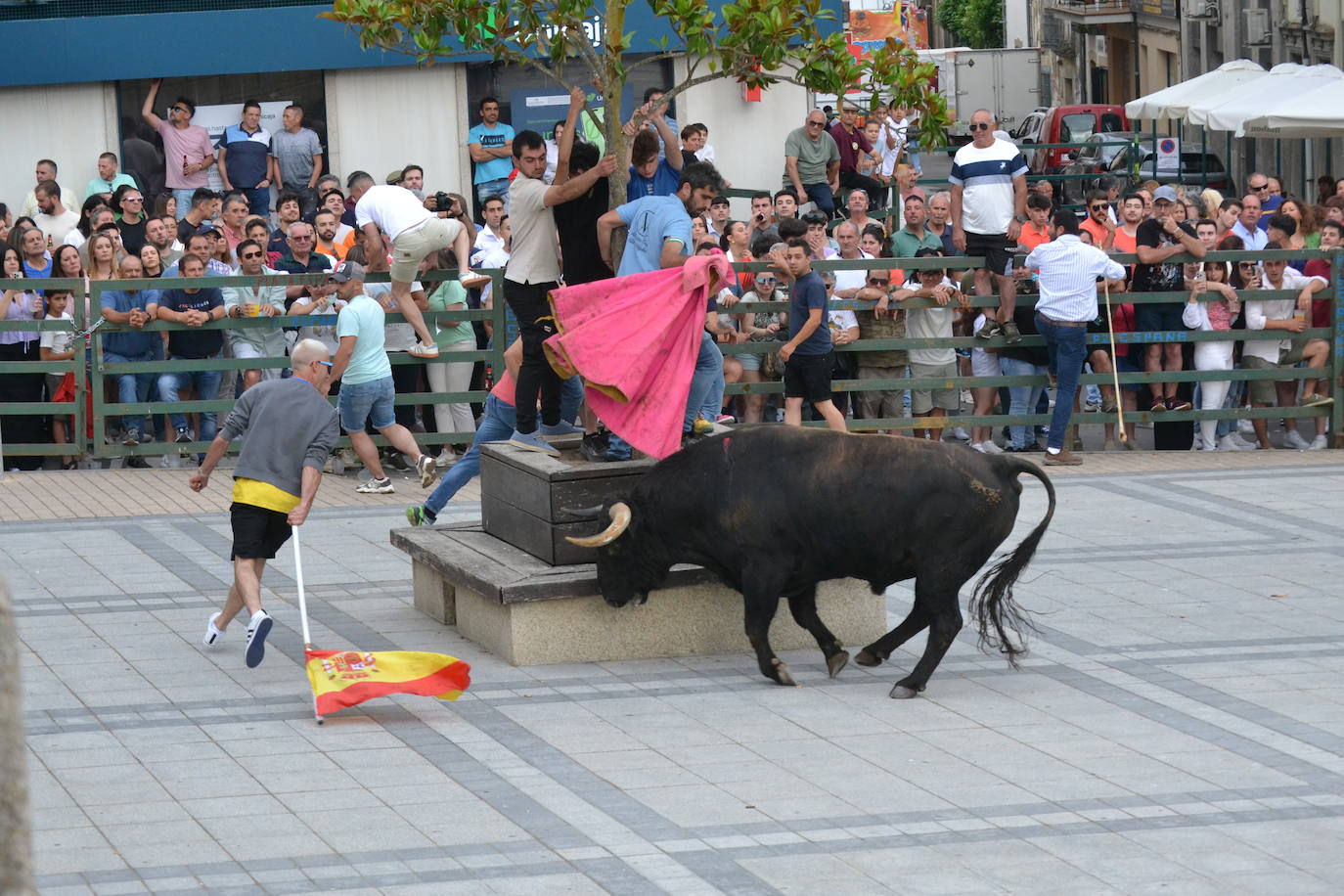 ‘Músico’ saca brillo al IX Toro de Cajón de Vitigudino