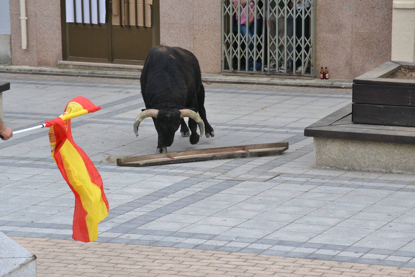 ‘Músico’ saca brillo al IX Toro de Cajón de Vitigudino
