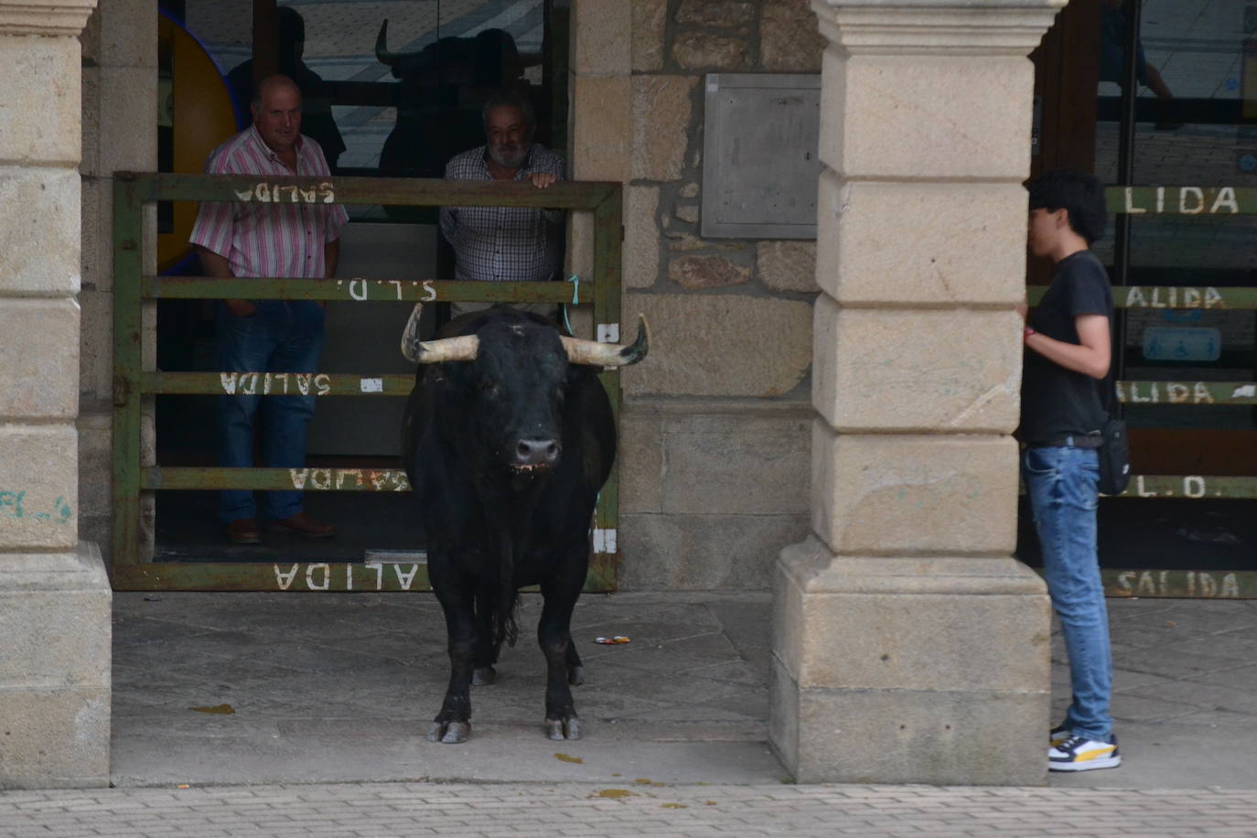 ‘Músico’ saca brillo al IX Toro de Cajón de Vitigudino