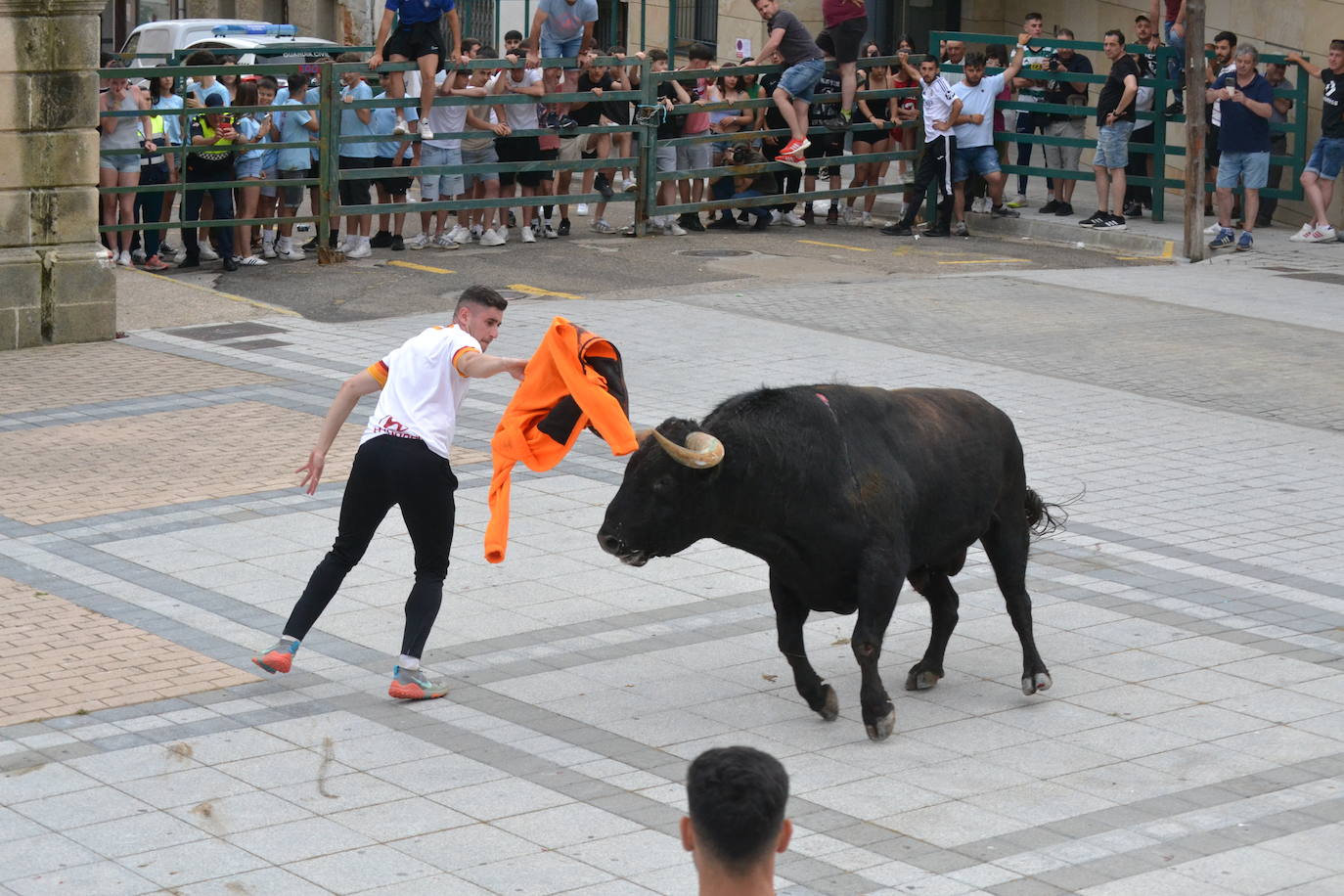 ‘Músico’ saca brillo al IX Toro de Cajón de Vitigudino