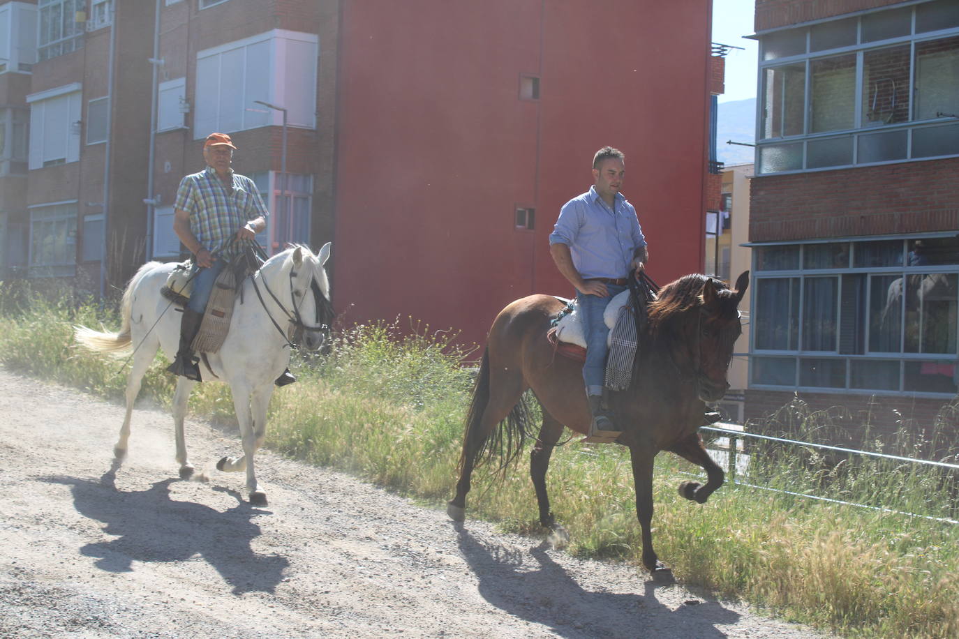 Encuentro ecuestre en Béjar
