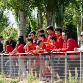 Mayores y pequeños del Salamanca Rugby Club disfrutan de un partido La Aldehuela esta temporada.