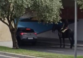 Una joven, sobre un caballo, bajo el Túnel de la Televisión.