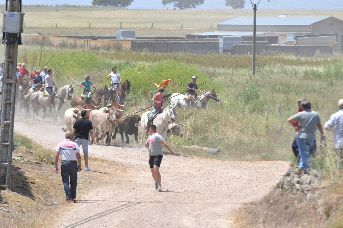 Vibrante encierro a caballo en Martín de Yeltes