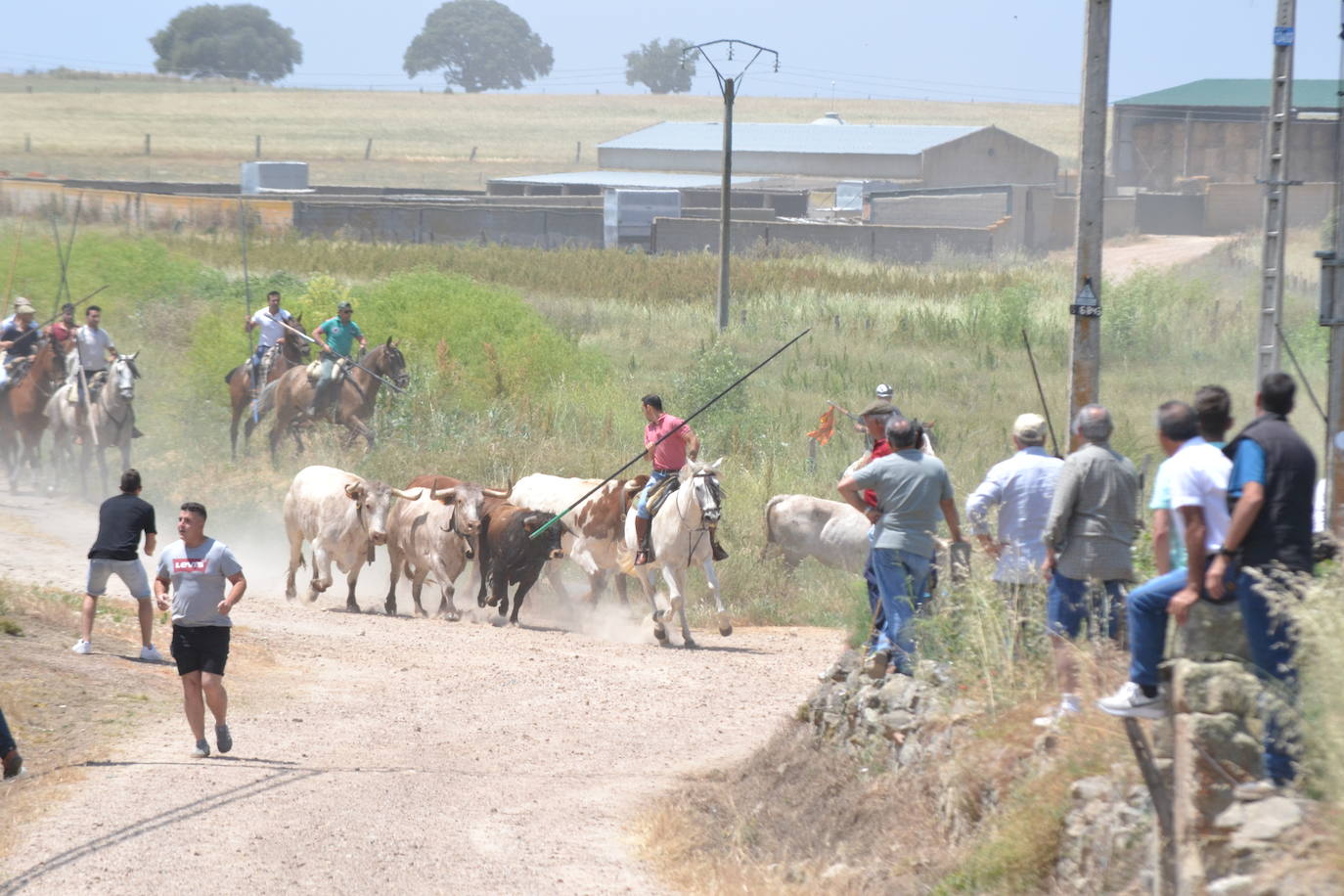 Vibrante encierro a caballo en Martín de Yeltes