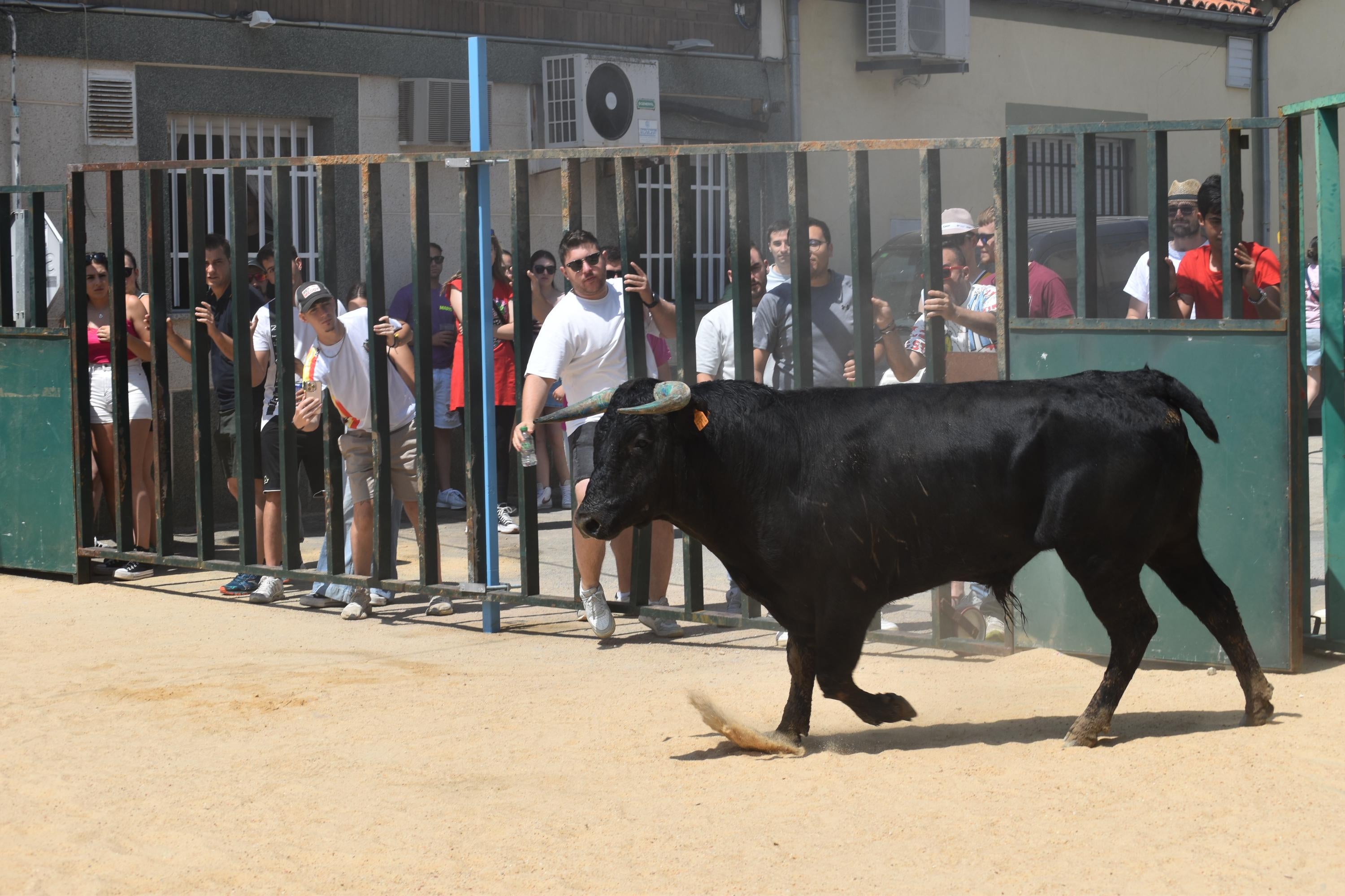 Topas disfruta de ‘Piñero’, ‘Campero’ y ‘Lagrimoso’