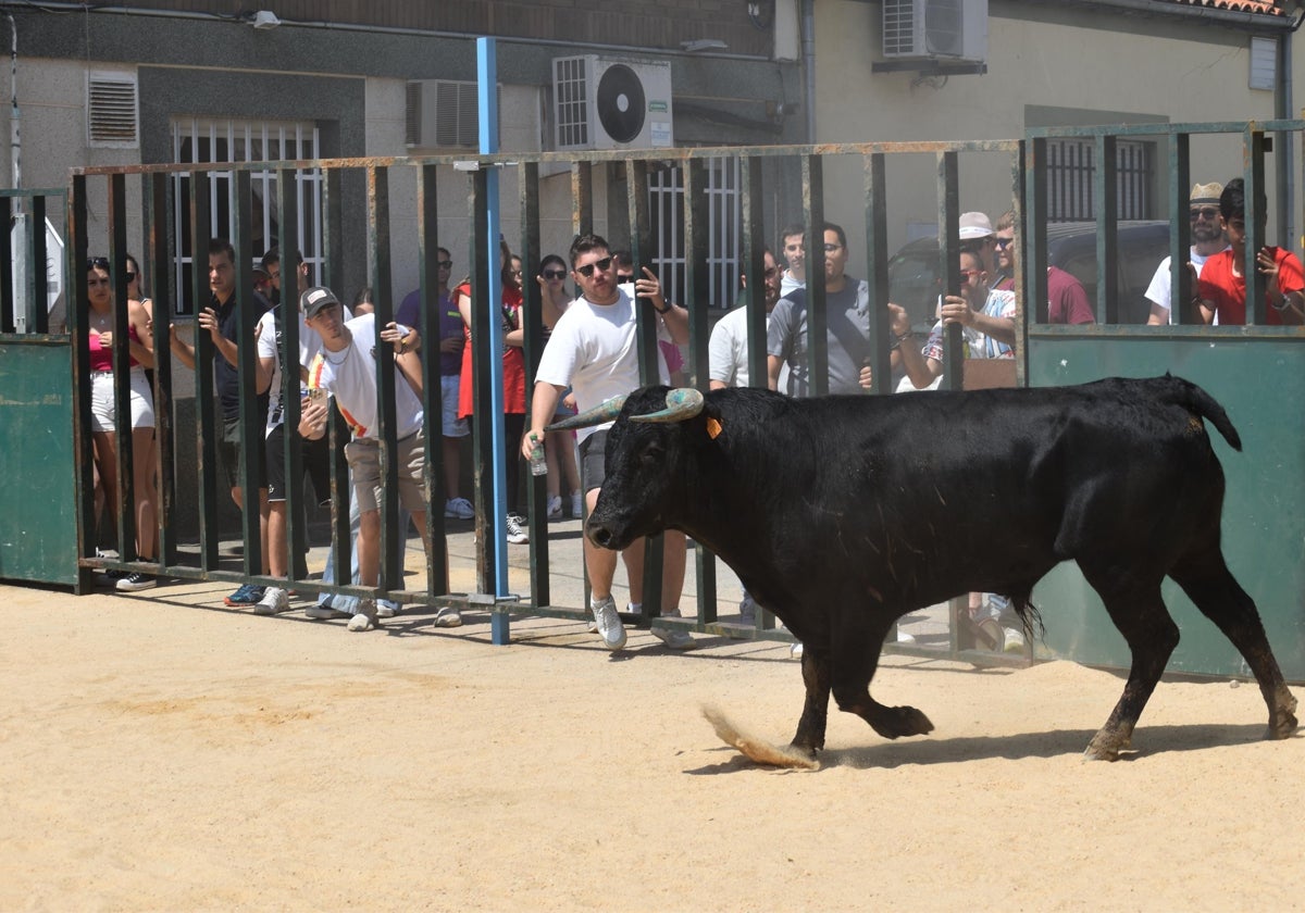 Topas disfruta de ‘Piñero’, ‘Campero’ y ‘Lagrimoso’