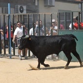 Momento del encierro urbano en Topas.