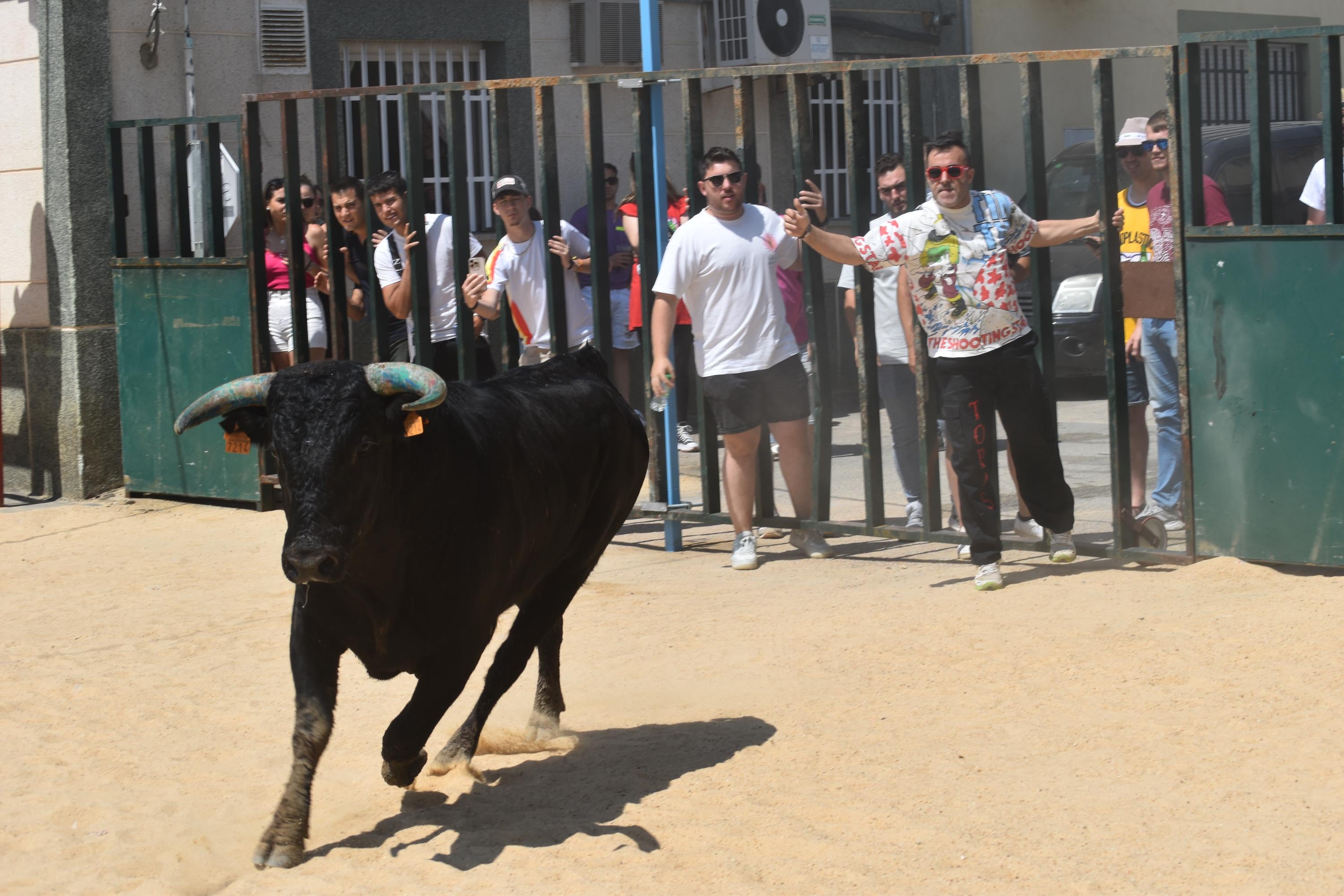 Topas disfruta de ‘Piñero’, ‘Campero’ y ‘Lagrimoso’