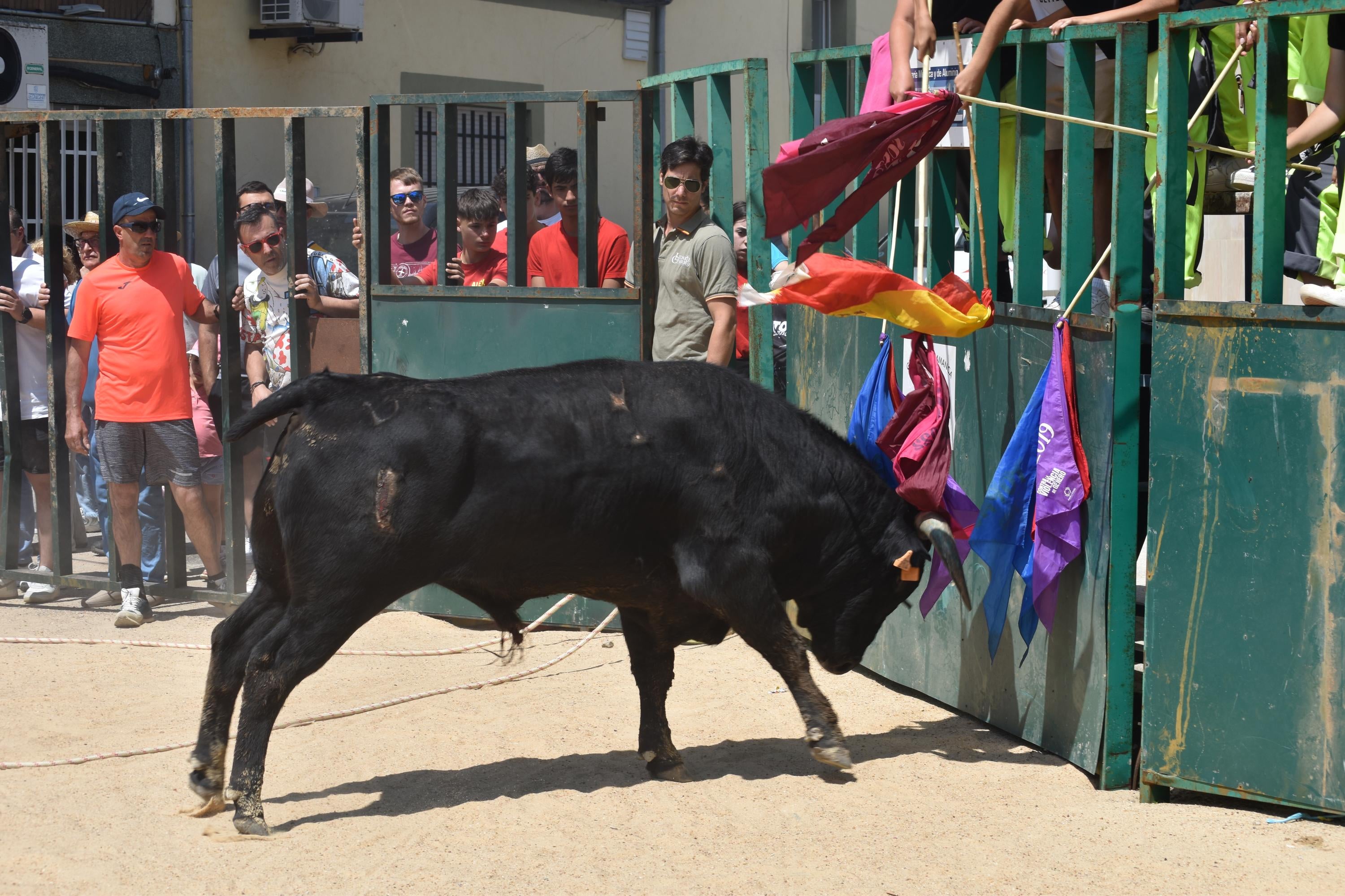 Topas disfruta de ‘Piñero’, ‘Campero’ y ‘Lagrimoso’