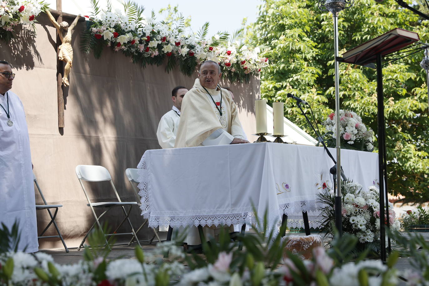 Tejares rinde homenaje a su virgen