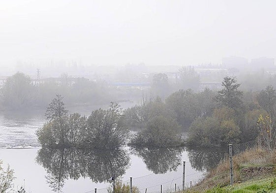 Bruma intensa en la ribera del Tormes.