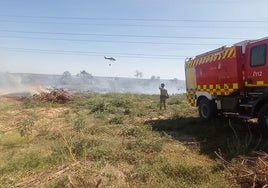 Extinción de un reciente incendio forestal en la provincia.