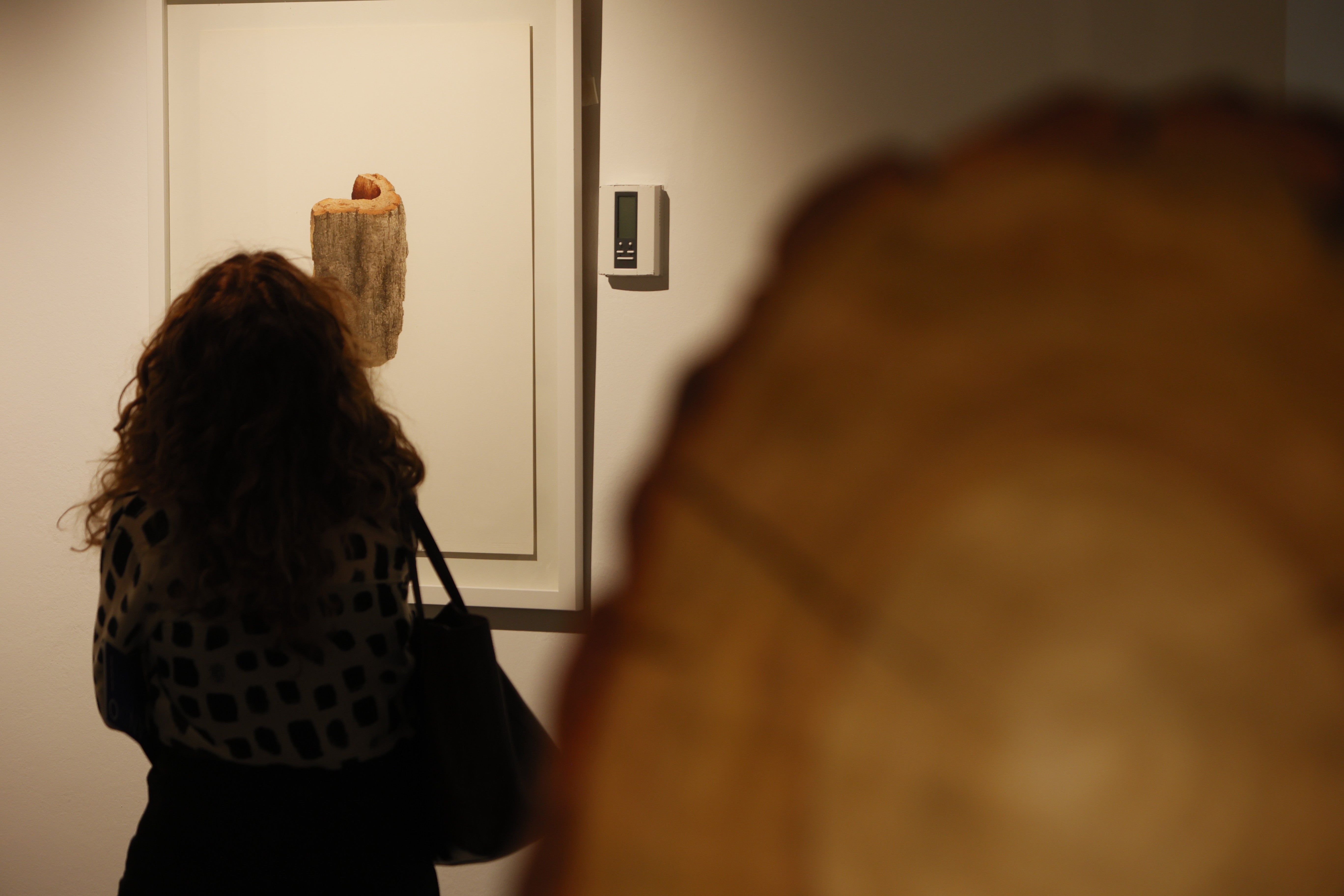 ‘Árbol’: el hiperrealismo de Reche
