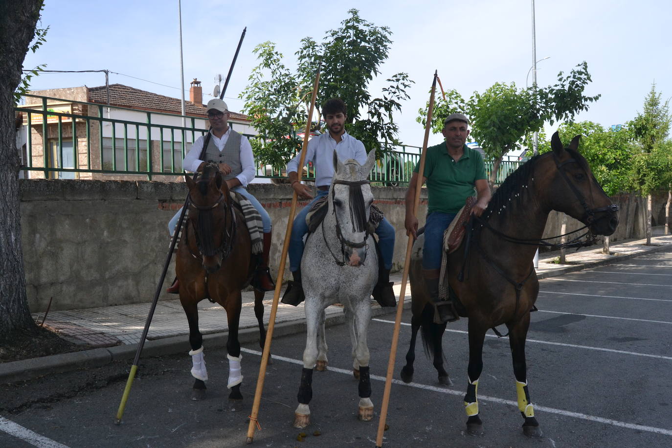 Rápido y bello trabajo caballista en Sancti Spíritus