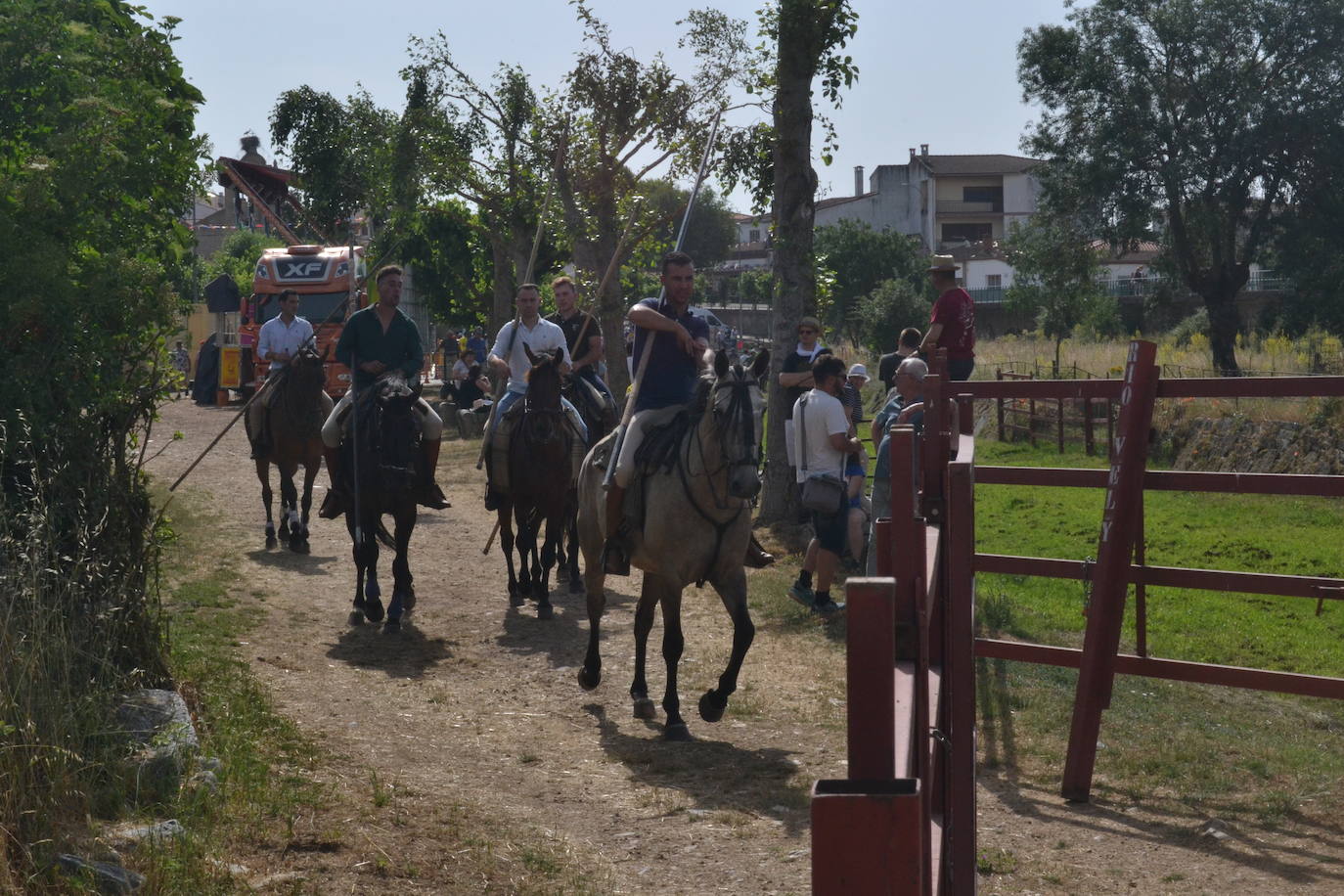 Rápido y bello trabajo caballista en Sancti Spíritus