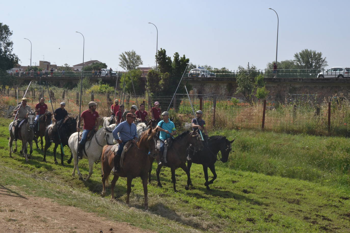 Rápido y bello trabajo caballista en Sancti Spíritus