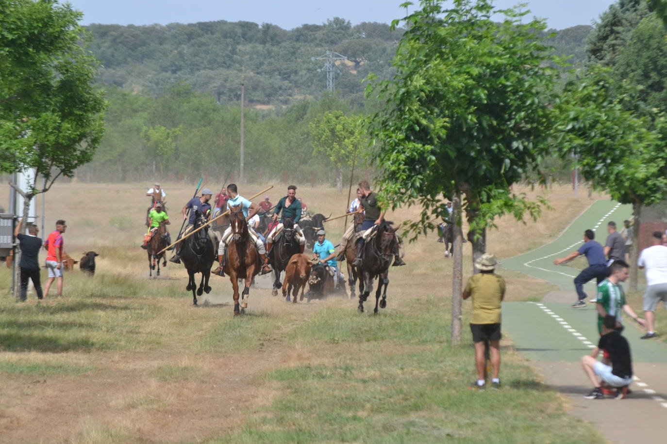Rápido y bello trabajo caballista en Sancti Spíritus