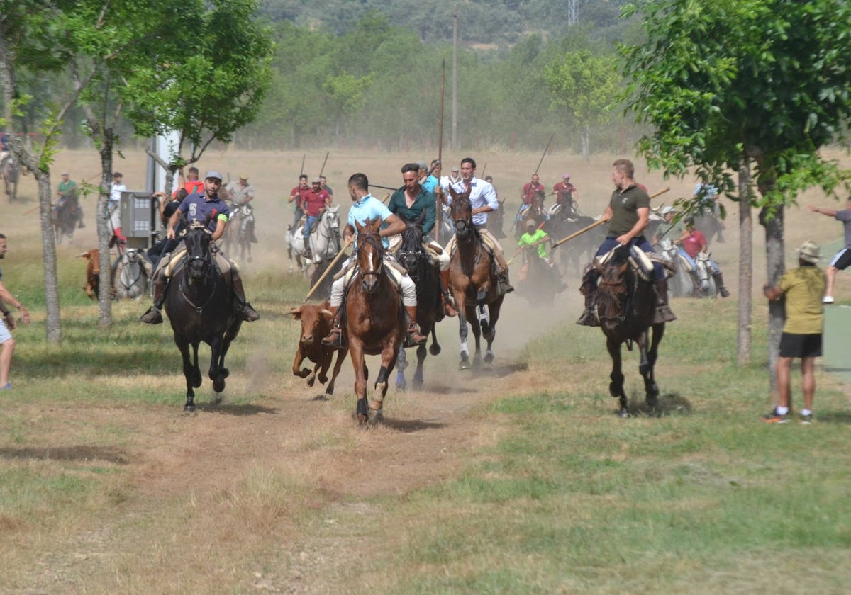Rápido y bello trabajo caballista en Sancti Spíritus
