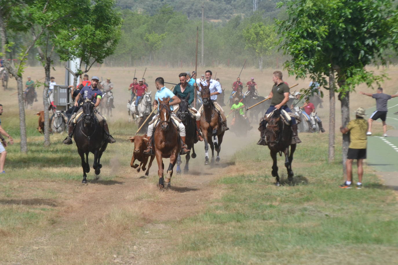 Rápido y bello trabajo caballista en Sancti Spíritus