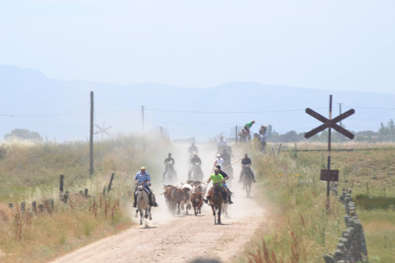 Bella carrera a caballo en La Fuente de San Esteban