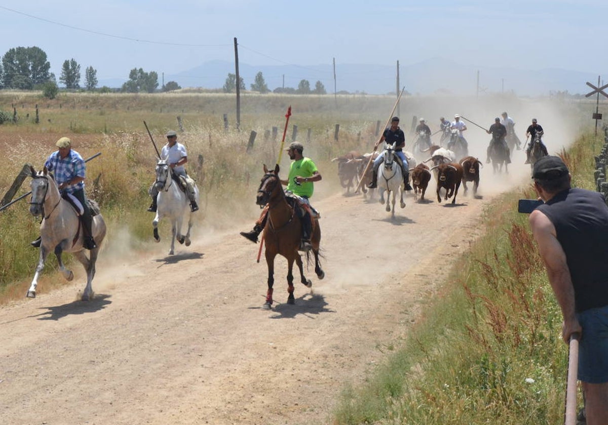 Bella carrera a caballo en La Fuente de San Esteban
