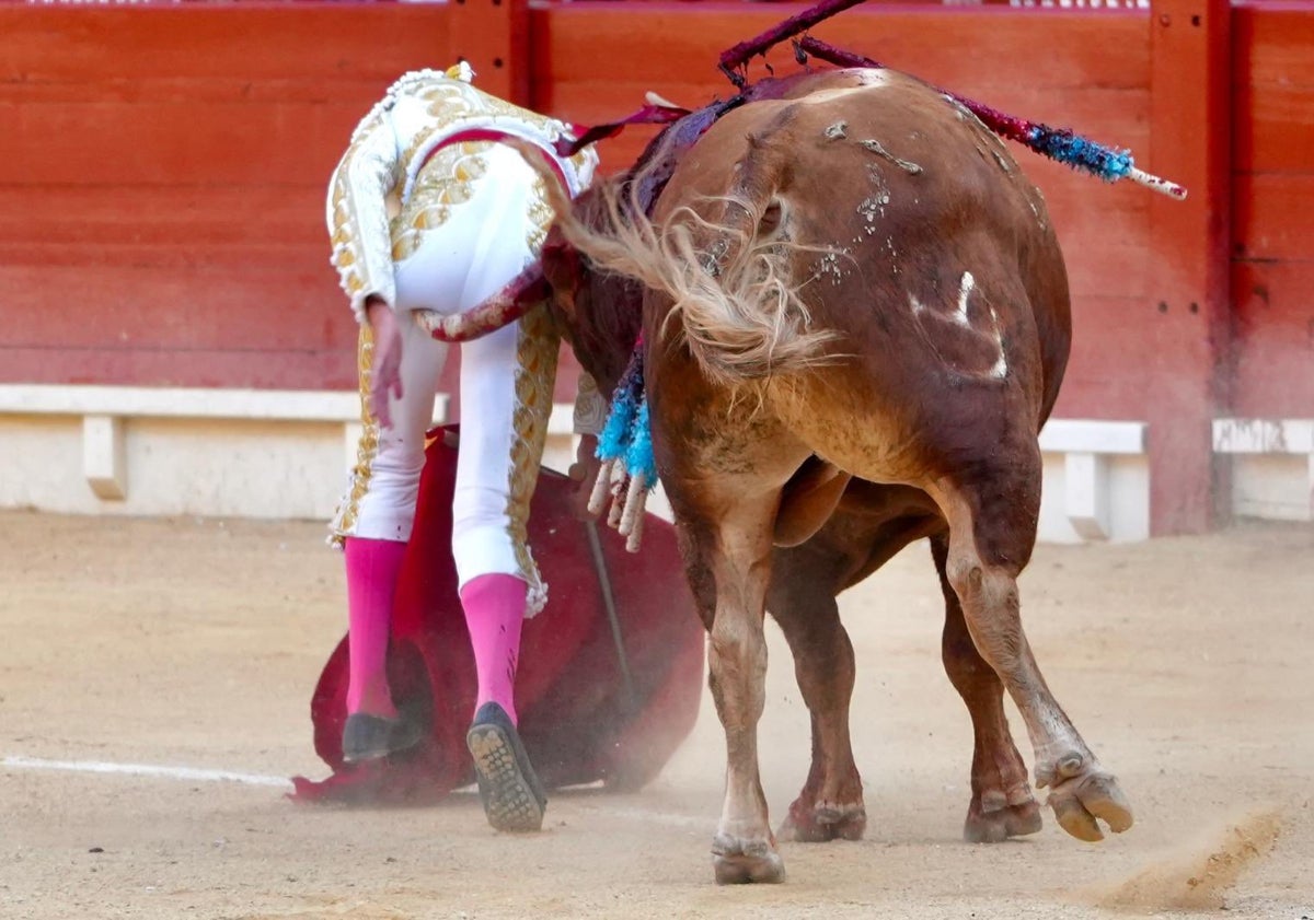 Imagen principal - Espeluznante cogida de Marco Pérez en Alicante