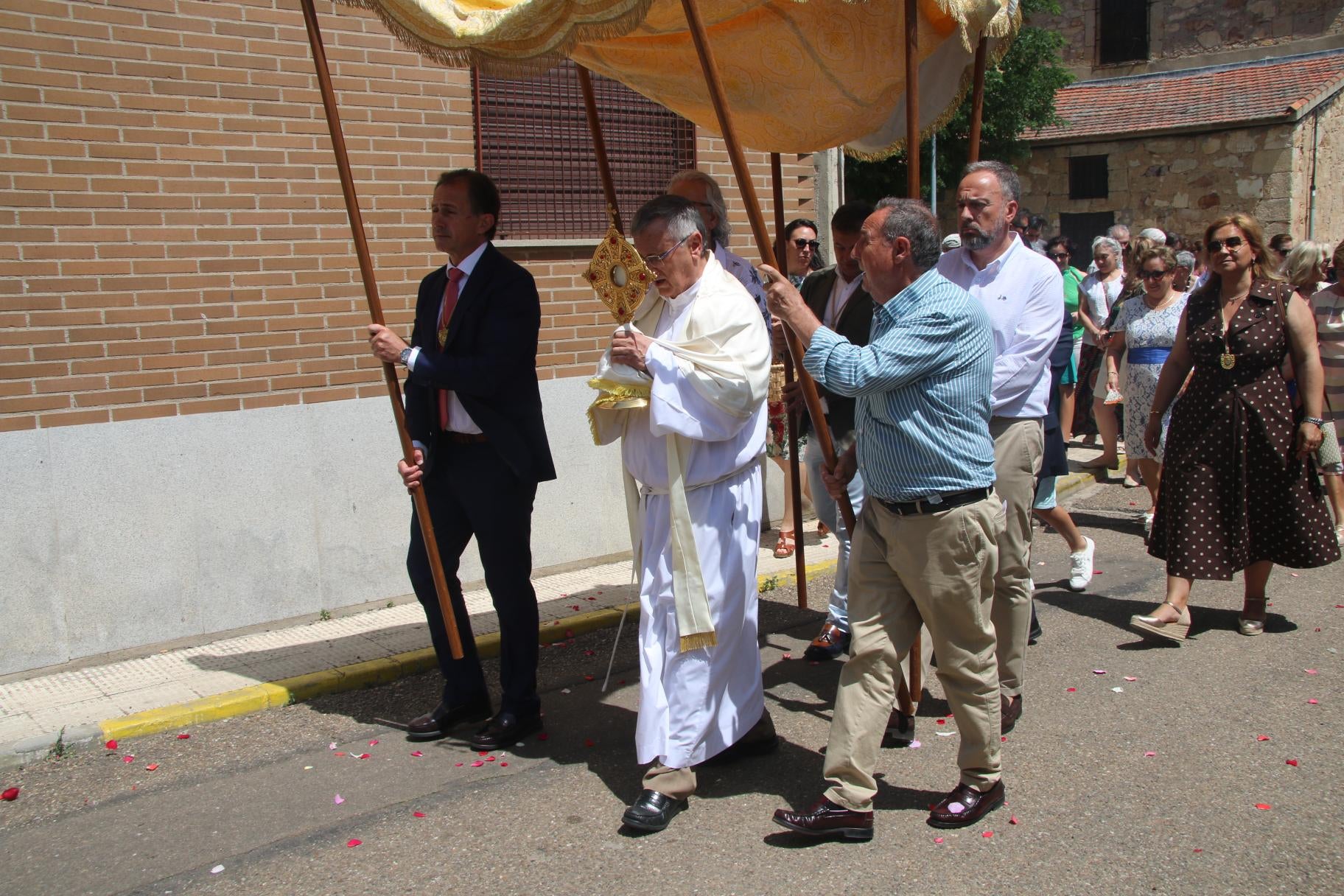 Pétalos de flores y palio en la procesión de Aldeatejada